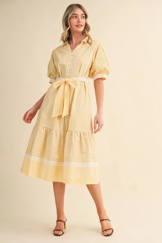 The Cecily Shirtdress