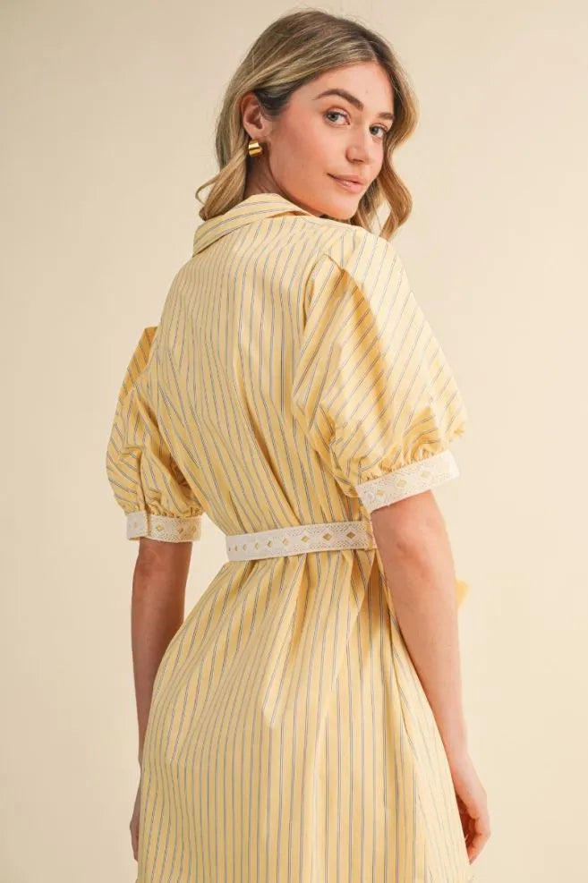 The Cecily Shirtdress