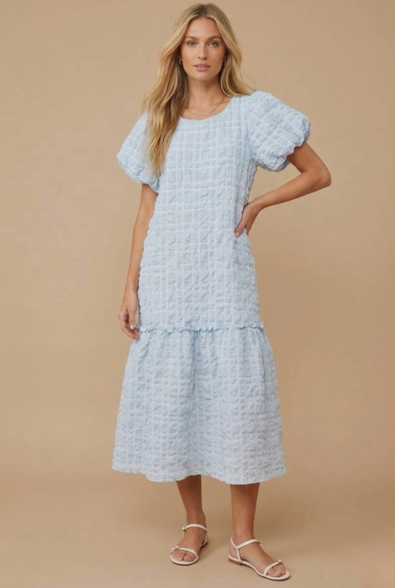 Curvy Dainty Skies Dress