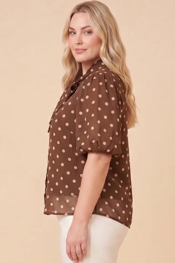 Curvy Brown Polka Dot Top