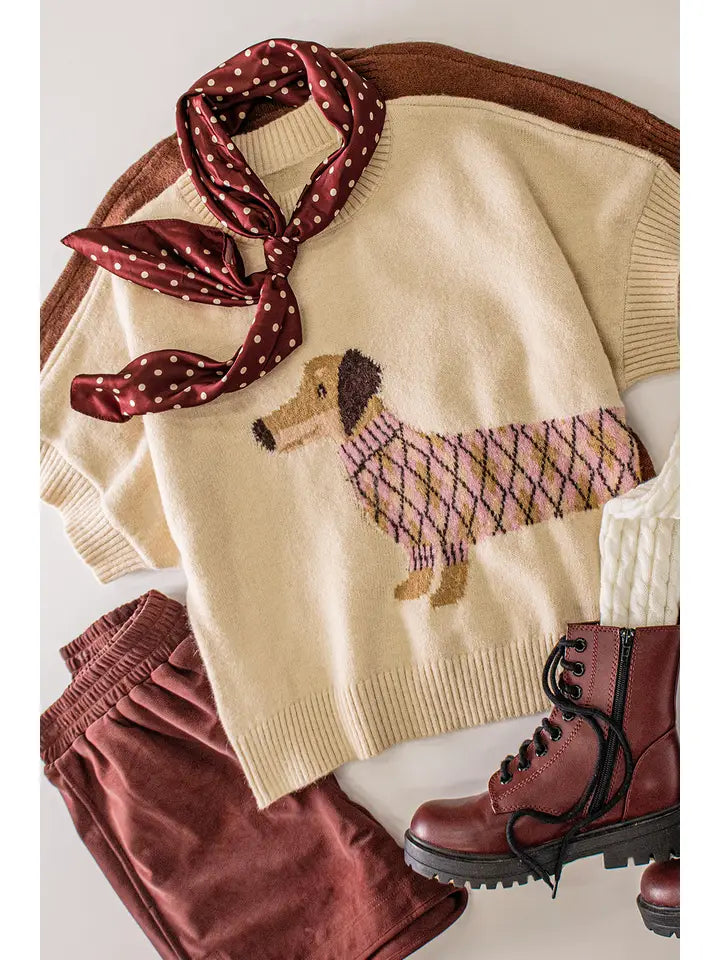 Dog Graphic Sweater